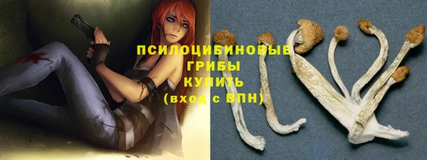 гидра Аркадак