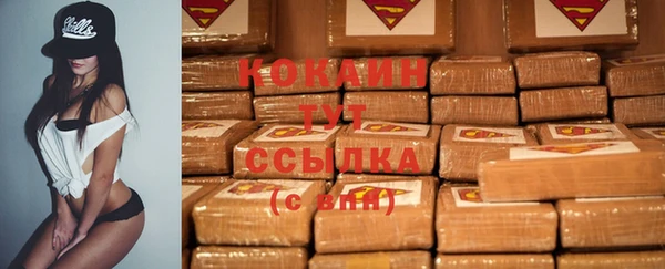 стафф Армянск