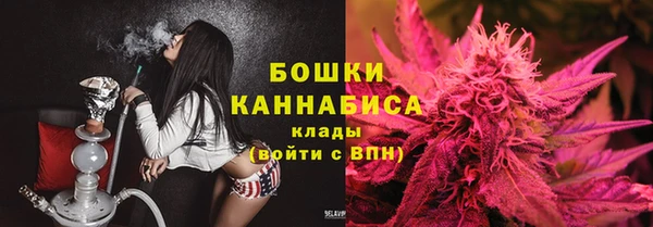 соль ск Арсеньев